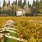 Scopri la Valpolicella: un viaggio tra vini pregiati e bellezze naturali